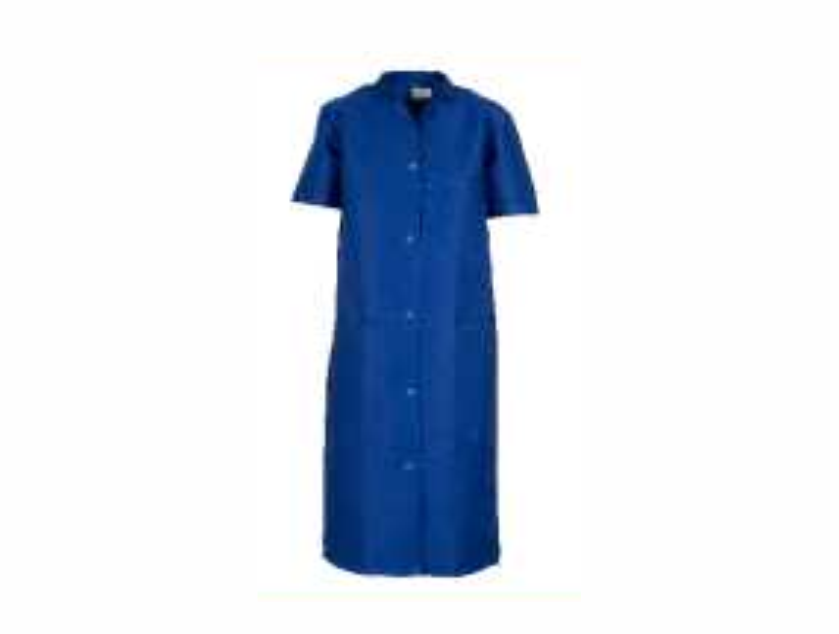 WORK DRESSES BUTTON UP